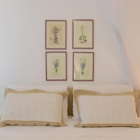 Apartment Topfloor With Furnished Terrace Near The Sea